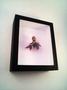 entoform oprah winfrey side