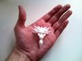 entoform sedecim in hand 1