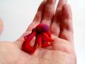entoforms nuntius certior in hand 2